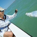 article image -